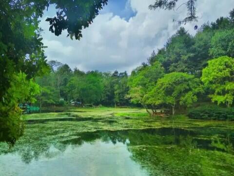 &#91;COC Reg. Cirebon&#93; Deretan Wisata Cirebon Dijamin Bikin Susah Move On, Kok Bisa?
