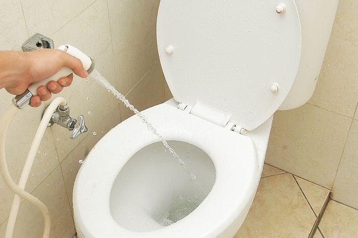 Ini 3 Musuh Wanita Di Toilet, Apa Tuh?