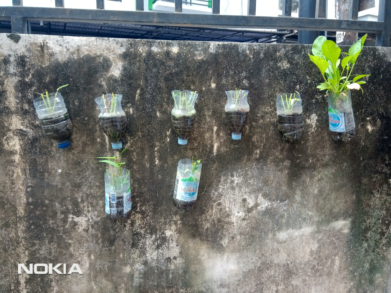 Ingin Menanam, Tapi Tak Punya Lahan, Hanya Punya Dinding? Bisa Kok, Gan!