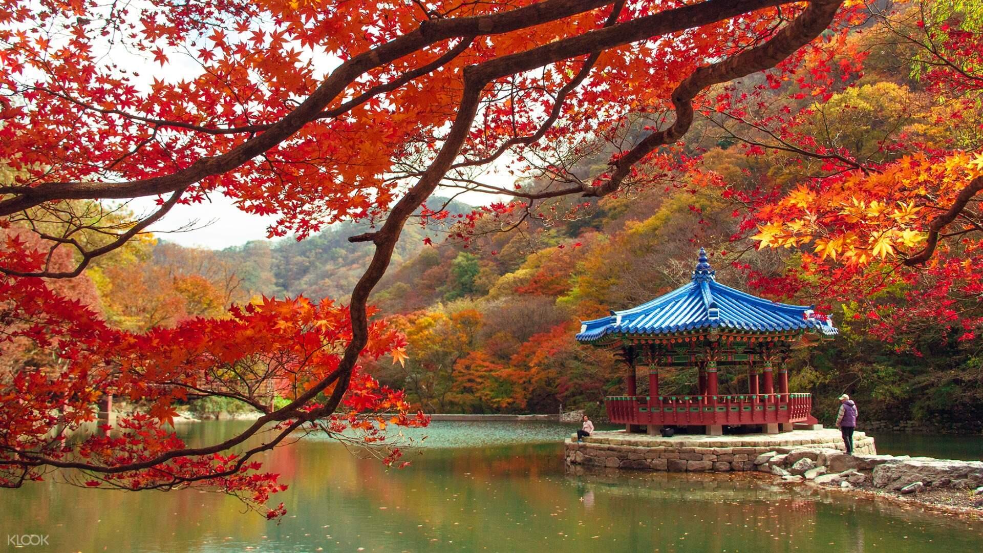 Lima Tempat  WIsata  di  Korea Selatan yang Cocok Dikunjungi 