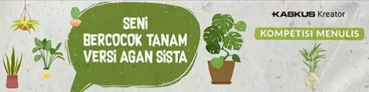 Pengalaman Pertama Bercocok Tanam Di Tanah Merah