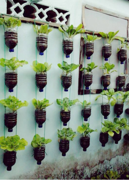 4 Tips Bercocok Tanam Bagi si Pemilik Lahan Sempit
