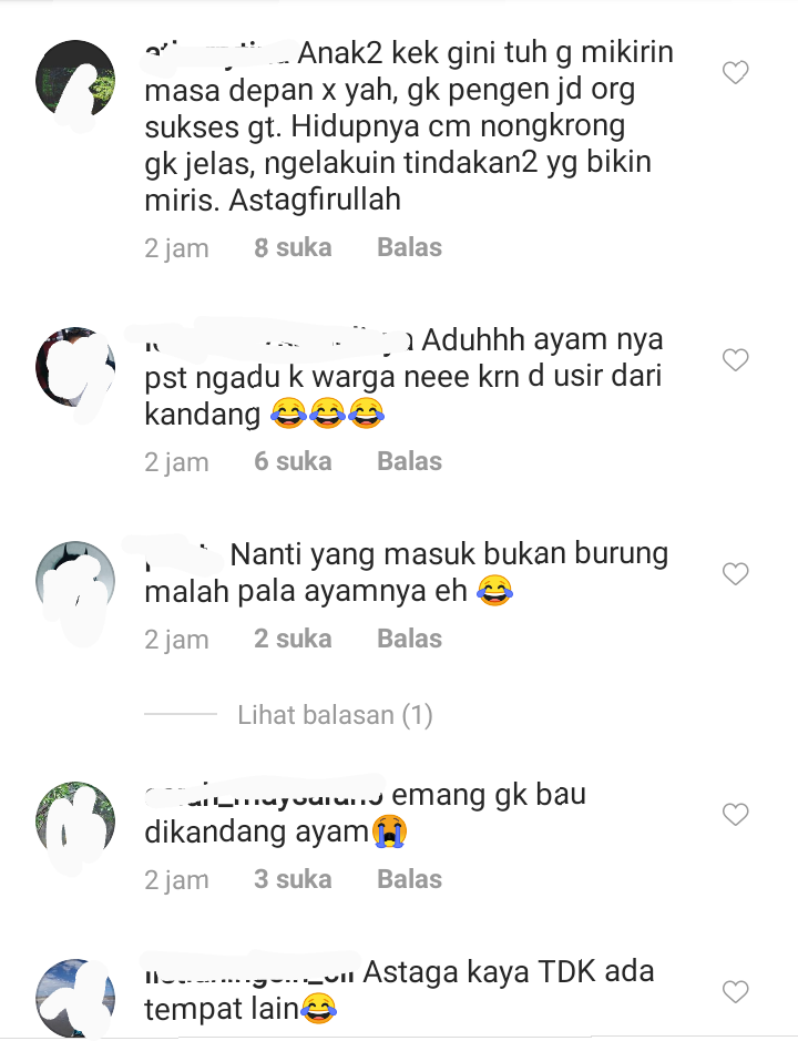 Viral Berbuat Mesum di Kandang Ayam, Tiga ABG Diciduk Warga, Threesome!