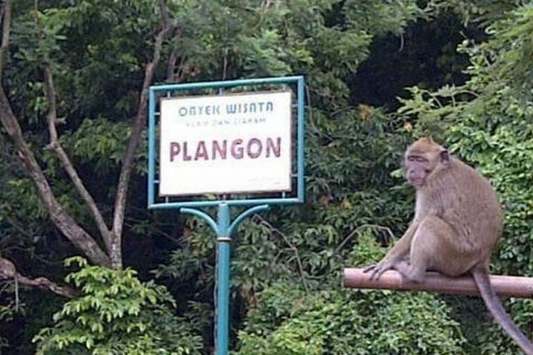 &#91;Coc Reg. Cirebon&#93; 100 Days di Kota Cirebon, Inilah Kenangan Tentangmu!