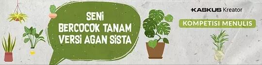Berbagi Cara Simple Menanam Tanaman Bonsai Nih !