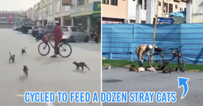 Viral di Malaysia Menjadi Trending Topik