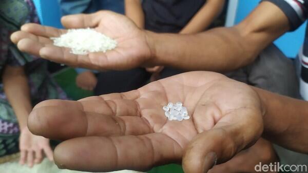 Warga yang Makan Beras Bansos Campur Plastik Akan Dicek Kesehatannya