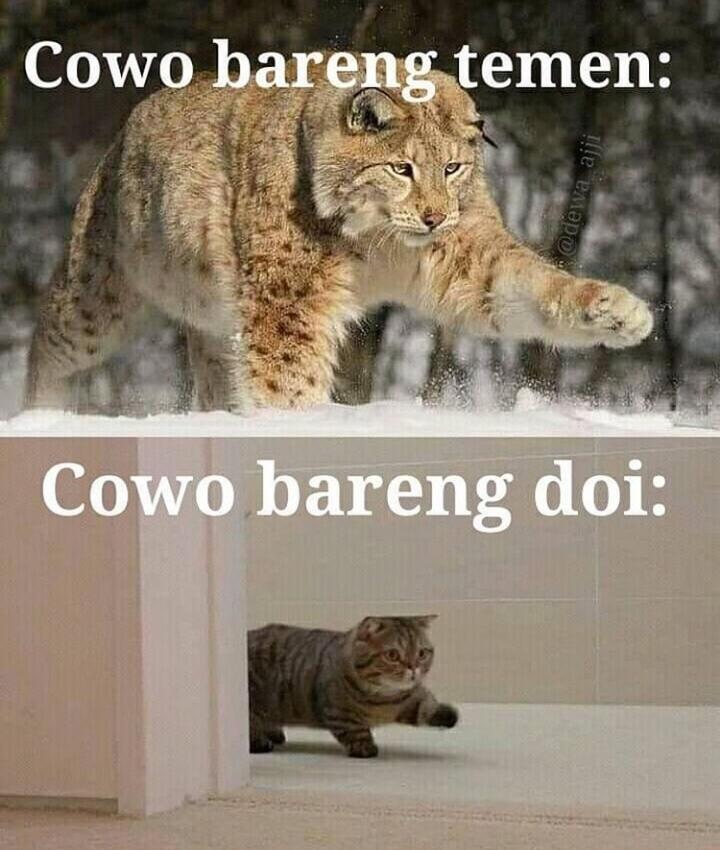 kaskus-image