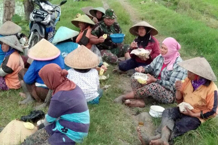 Kenapa Makan Di Sawah Enak