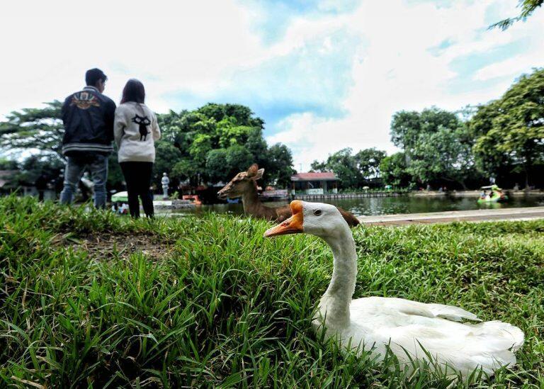 &#91;COC reg. Solo&#93;Indah dan Bersejarah! 3 Taman di Solo Ini Bisa Bikin Galaumu Hilang