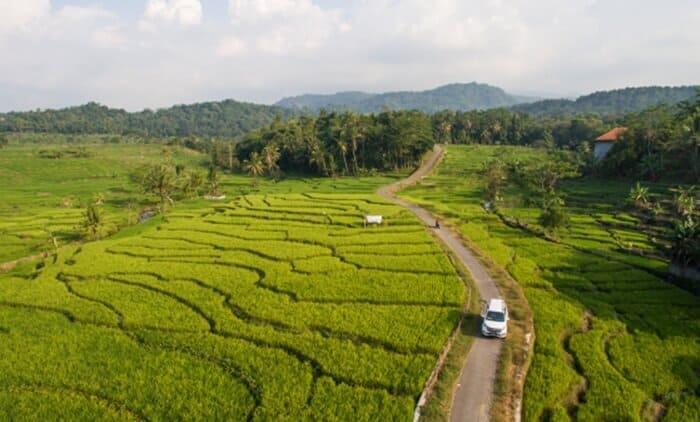 &#91;Coc Reg. Cirebon&#93; Jelajah Alam Di Wanawisata Ciwaringin