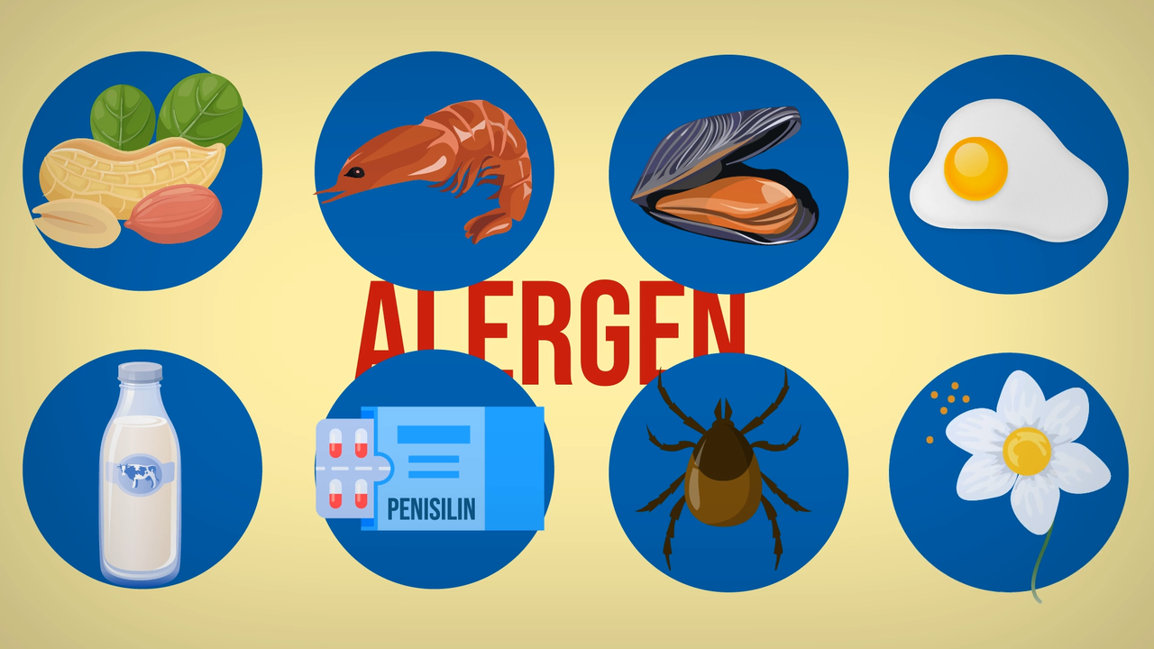 Kenapa Kita Bisa Alergi? *Explained with Animation!