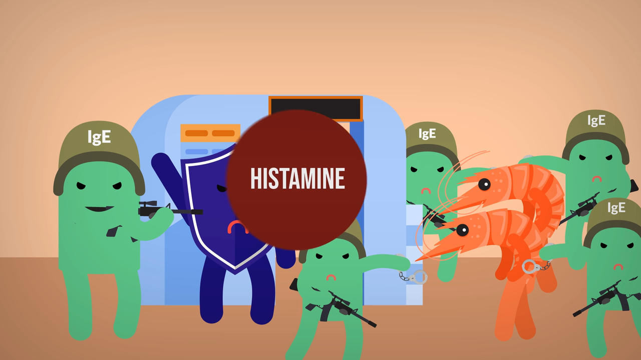 Kenapa Kita Bisa Alergi? *Explained with Animation!