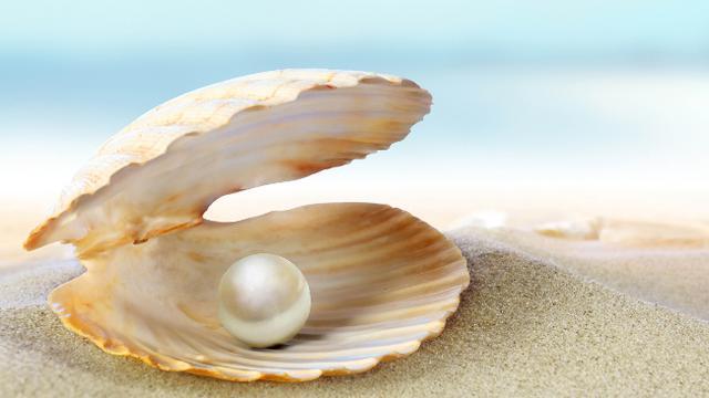 (COC. Reg. Tasikmalaya) Si Kota Mutiara dengan Paralel Beberapa Hal Keren Di Dunia