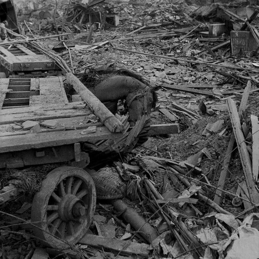 Gambar Bom Atom 2 Kota Hiroshima dan Nagasaki Menghancurkan Secara Massal .