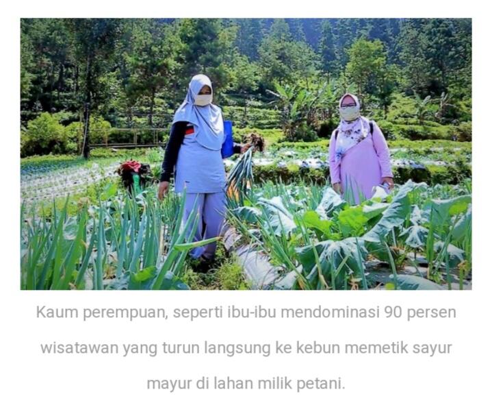&#91;Coc Tegal&#93;Sedari Padat Karya Sampai Wisata Agro, Warga Tegalpun Mulai Tersenyum