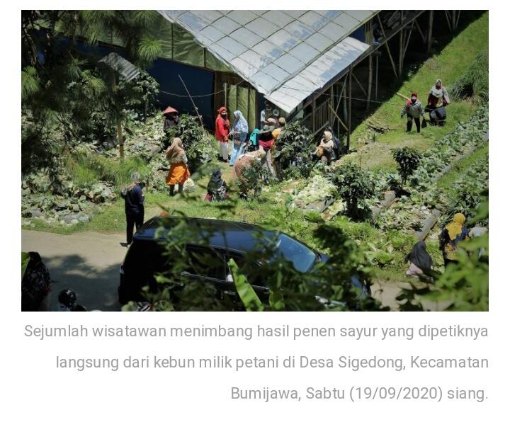 &#91;Coc Tegal&#93;Sedari Padat Karya Sampai Wisata Agro, Warga Tegalpun Mulai Tersenyum