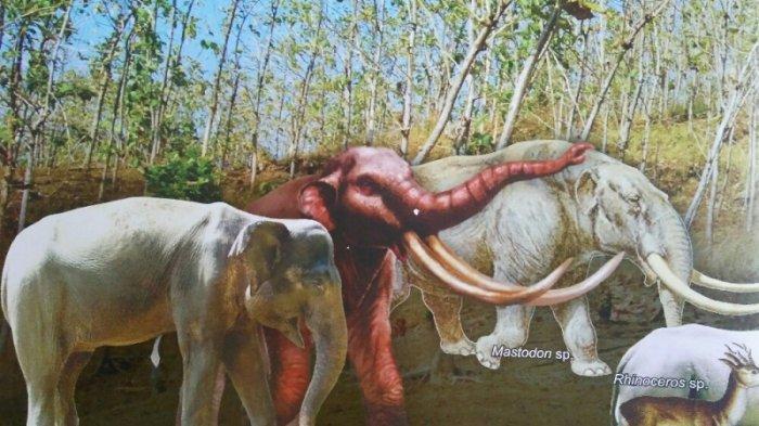 (CoC Reg. Tegal) Desa Semedo, Desa Di Kota Tegal Yang Kaya Akan Fosil Purbakala