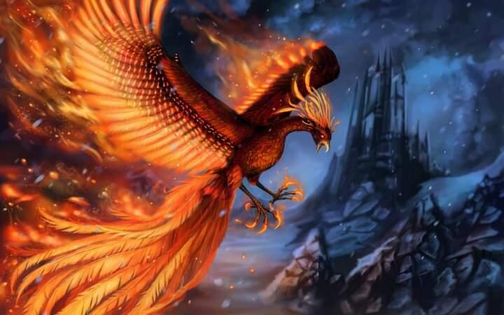 5 Makhluk Mitologi Yang Ada Di Film Harry Potter. Simak Gan!