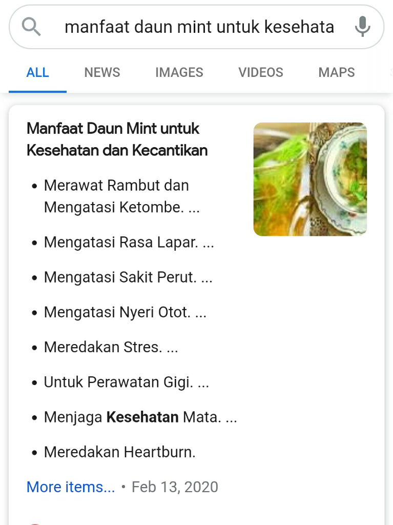 Cara Mudah Merawat Daun Mint Dan Ocra/Okra Sebagai Apotik Hidup