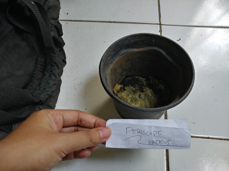 Anti Ribet Merawat Tanaman Hias Di POT Mini Yang super Praktis
