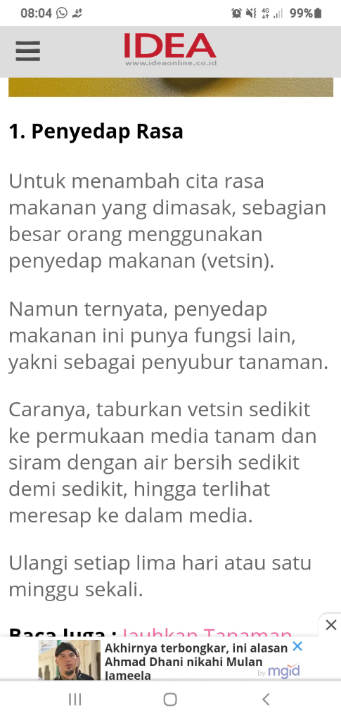 Kulit Bawang Dan Vetsin Menjadi Salah Satu Bahan Alami Penyubur Tanaman.
