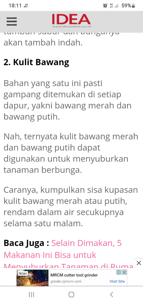 Kulit Bawang Dan Vetsin Menjadi Salah Satu Bahan Alami Penyubur Tanaman.
