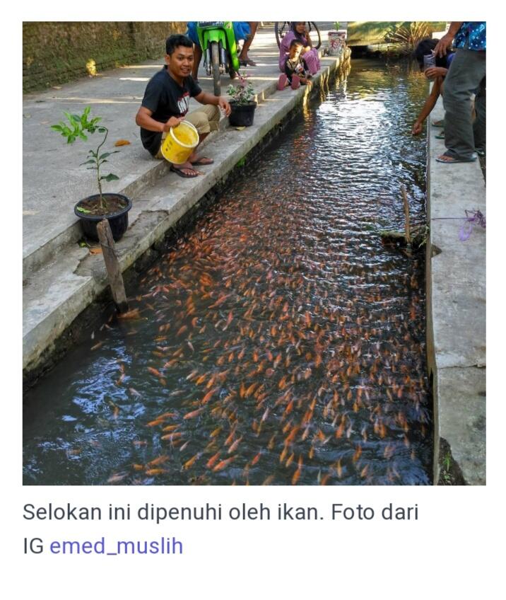 &#91;Coc Req.Klaten&#93; Ada Apa Dengan Klaten Yang Bikin Napsu Untuk Diviralkan?