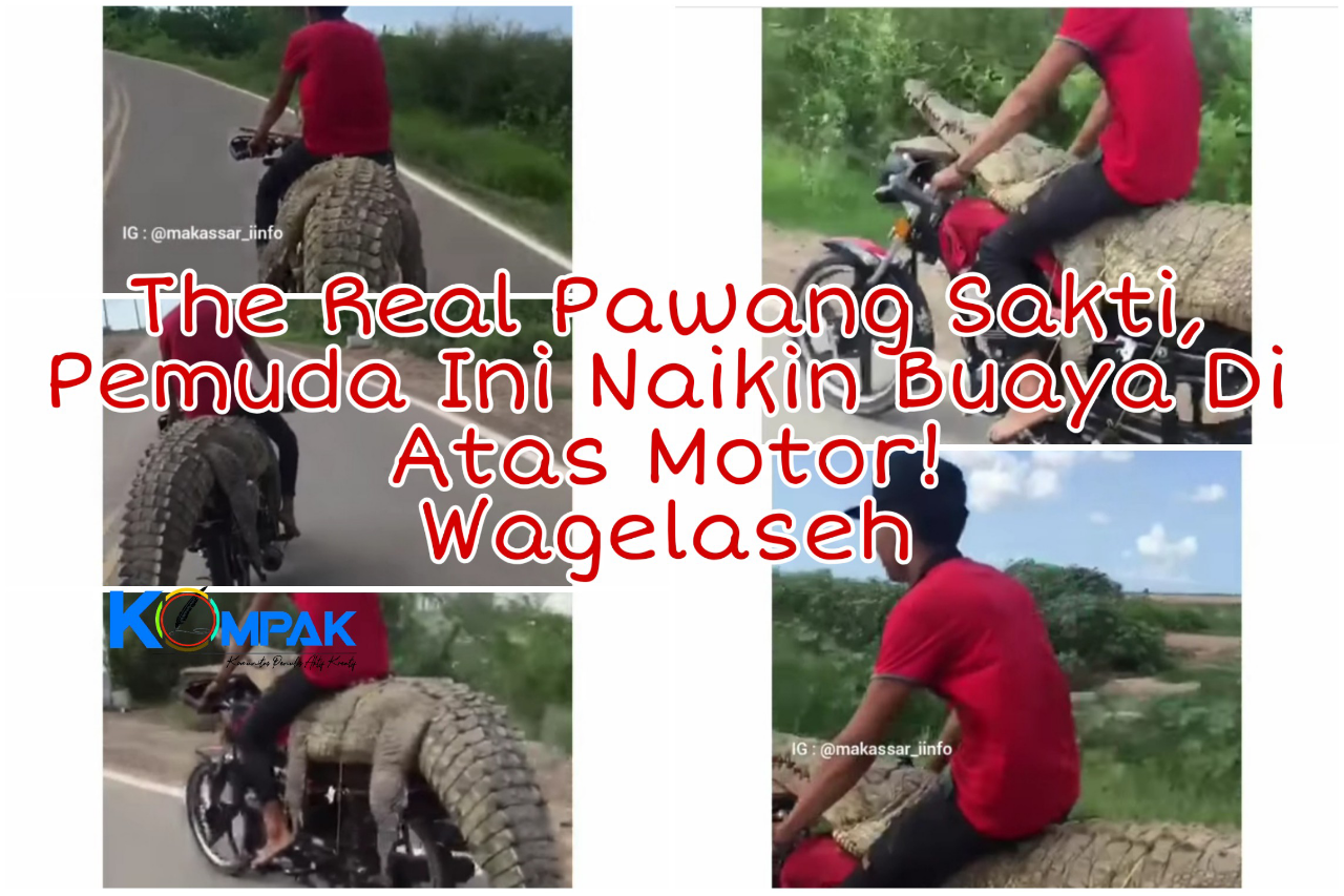 Real Pawang Sakti, Pemuda Ini Naiki Buaya Sambil Kendarai Motor! Gak Takut Dimangsa?