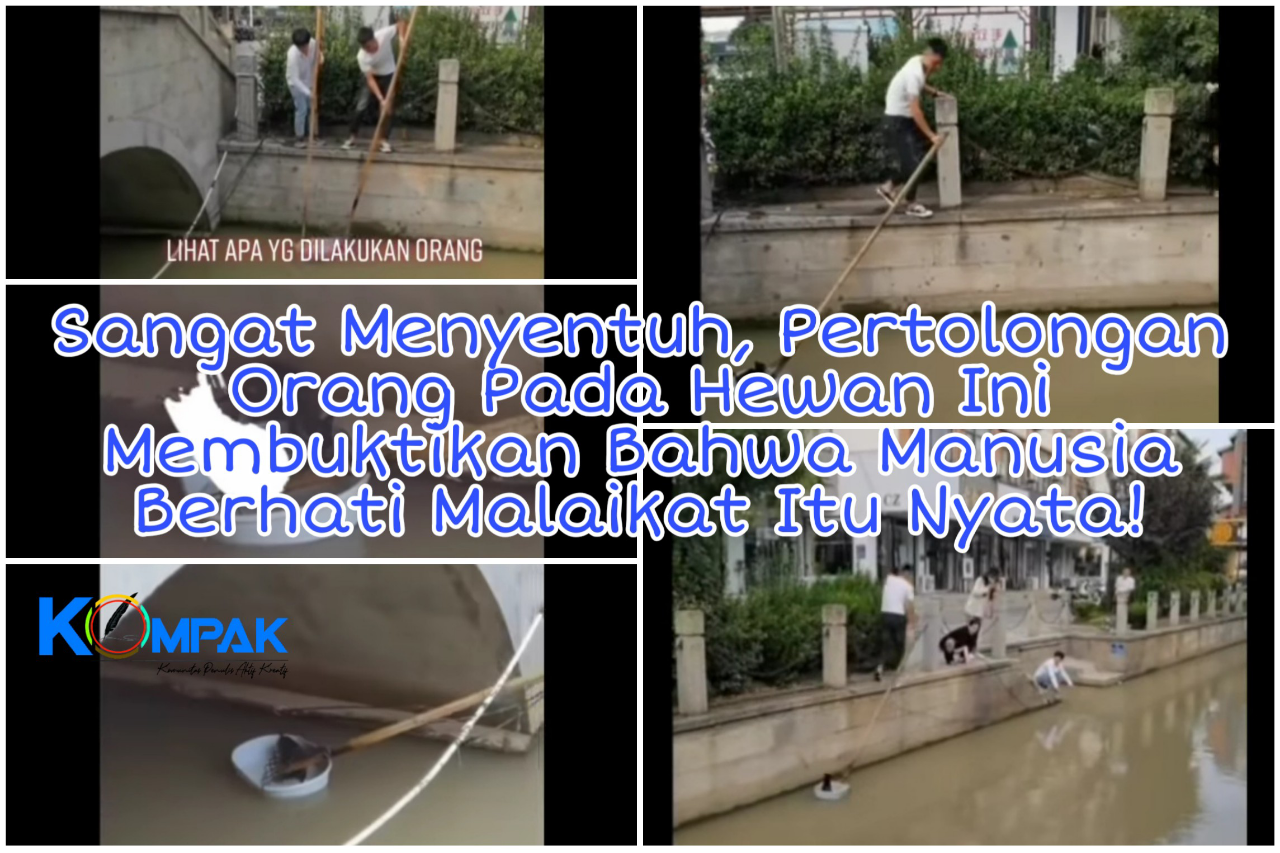 Benarkah Manusia Berhati Malaikat Itu Ada? Para Pemuda Baik Ini, Jawabannya!