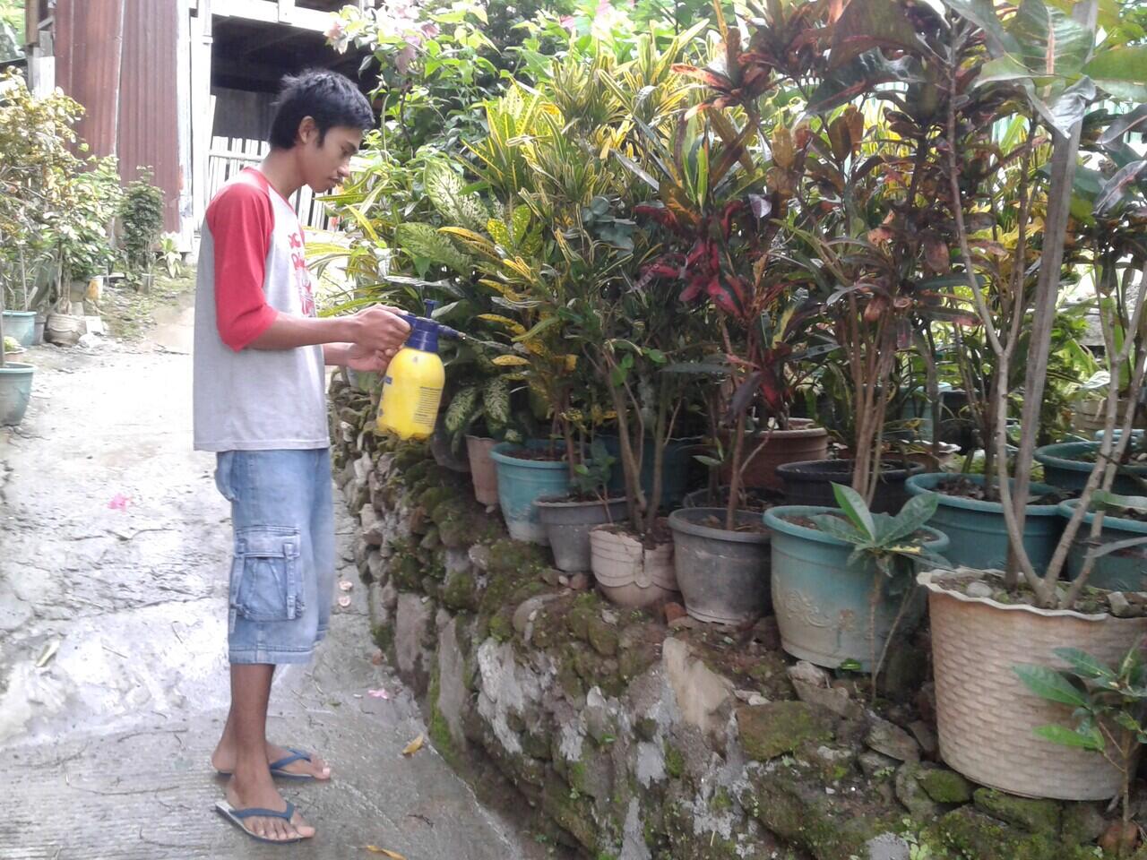 Hobi Baru Keluarga Ane Selama Pandemi Ini Gan Sis
