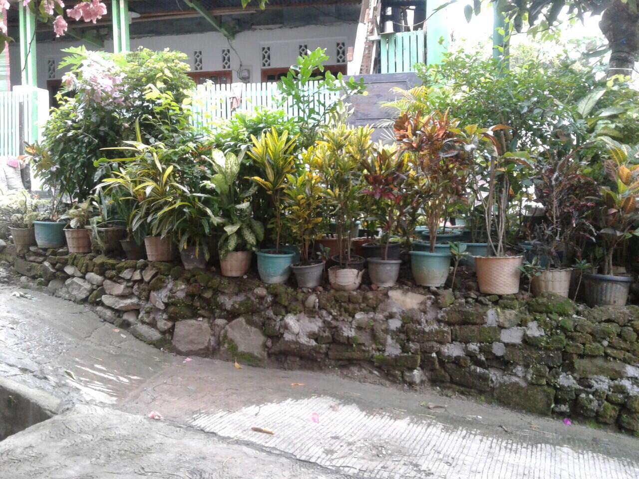 Hobi Baru Keluarga Ane Selama Pandemi Ini Gan Sis