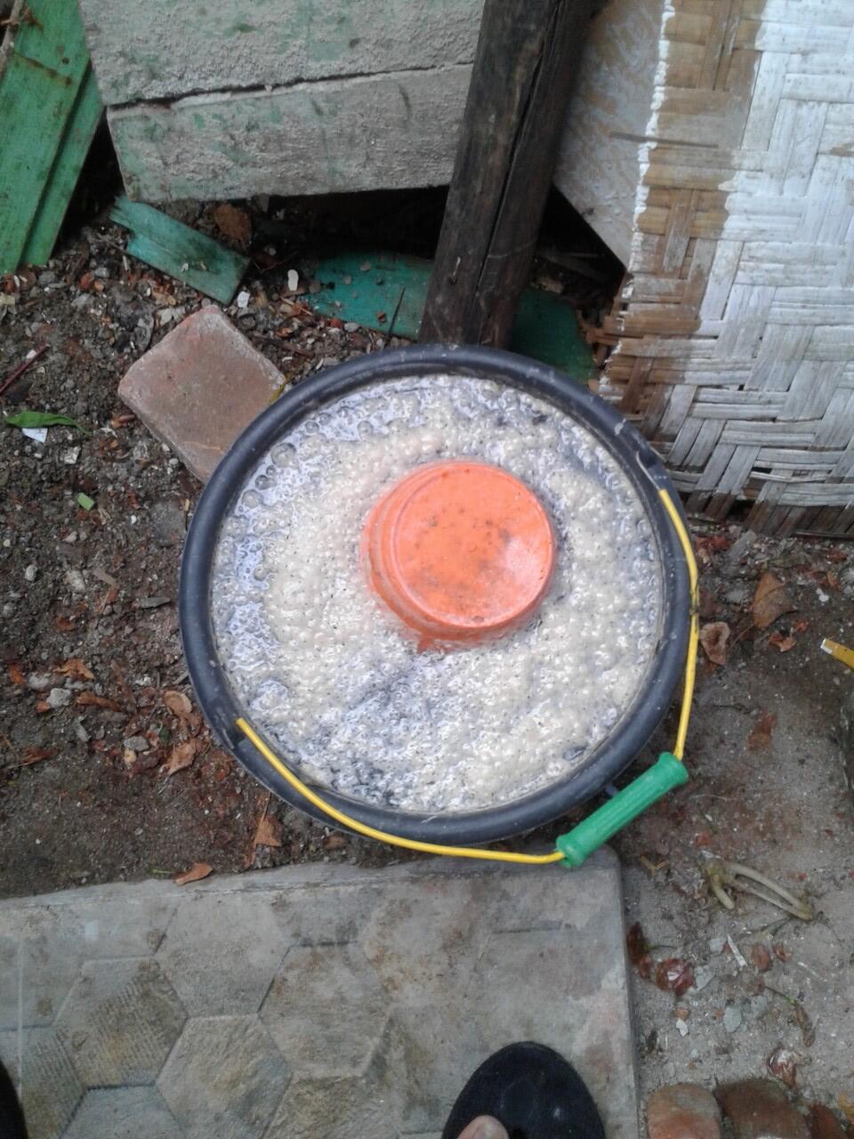 Hobi Baru Keluarga Ane Selama Pandemi Ini Gan Sis