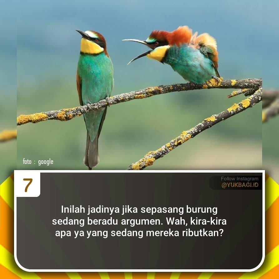 Tunjukan Ekspresi Lucu, Hewan ini Terlihat Menggelikan Ketika Difoto