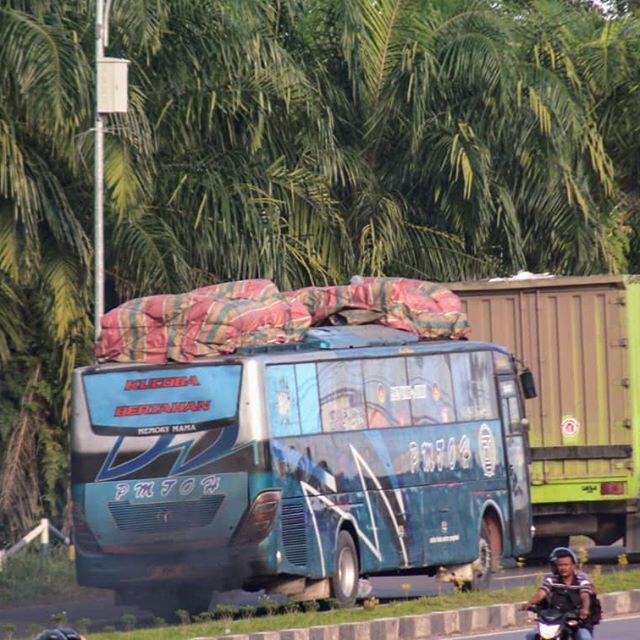 'Si Kuler Jahat', Bus Buatan Mercedes Benz yang Tangguh Dan Gak Suka Rewel