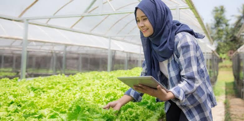 Saya Muda Saya Petani, Banggalah Menjadi Petani