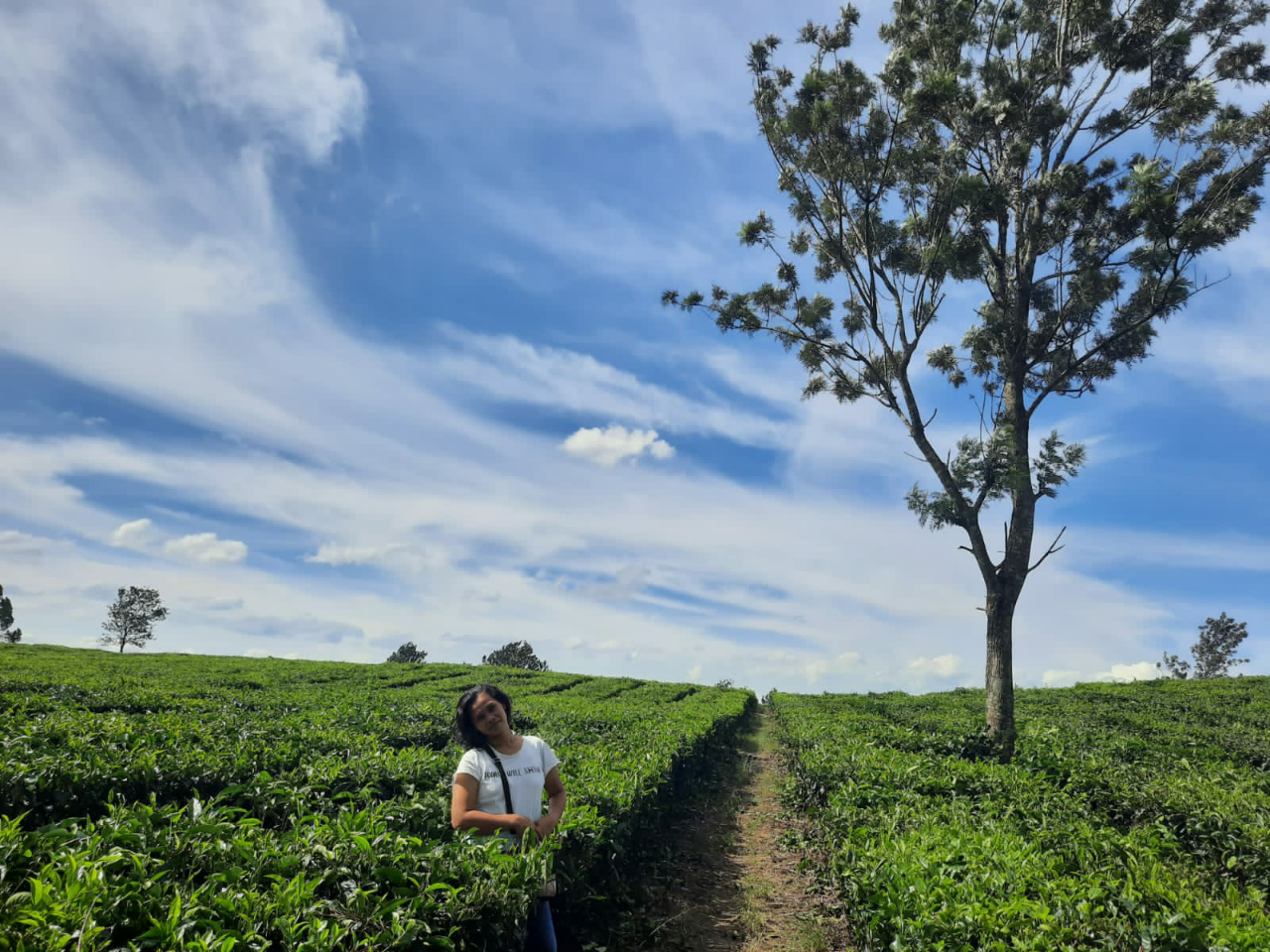 &#91;COC Reg.TEGAL&#93; Seperti Apa Wisata Kebun Teh Di Bumijaya Tegal ?
