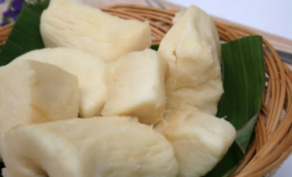 Bener enggak sih tapai singkong bisa mengobati ambeien??