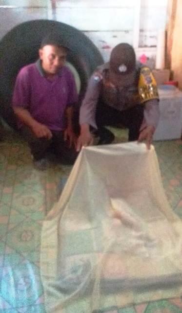 Di Pasaman Barat, Jasad Bayi Ditemukan Warga Dimakan Biawak