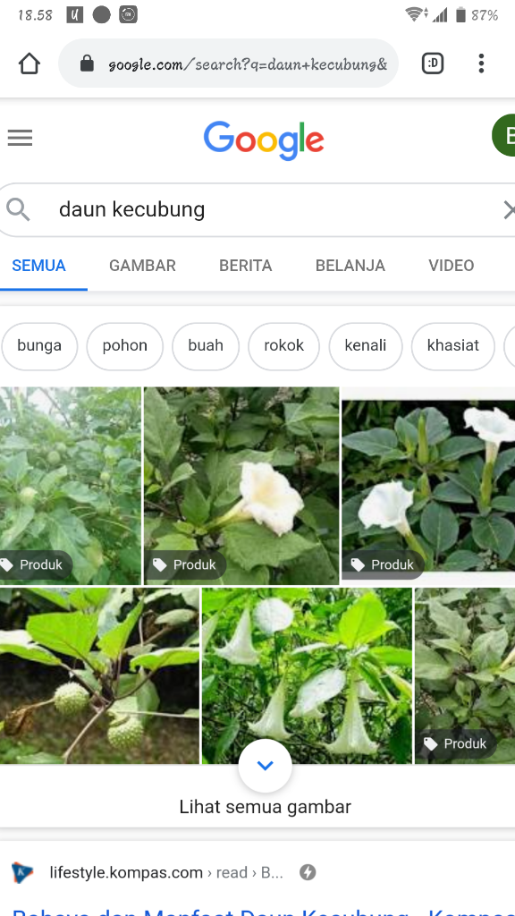 kaskus-image