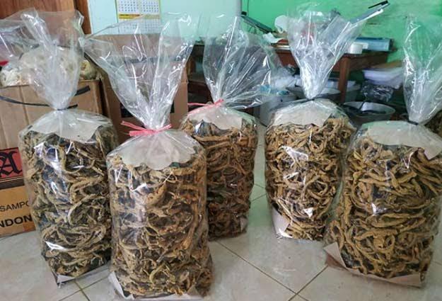 &#91;Coc Reg.Klaten&#93; Klaten Dengan Deretan Khasnya Yang Wajib Gansis Tahu