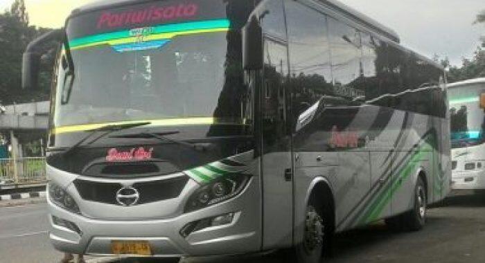 &#91;COC Reg.Tegal&#93; Berkenalan Dengan Dewi Sri, Bus Lokal Asli Tegal