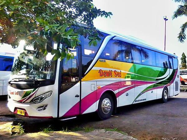&#91;COC Reg.Tegal&#93; Berkenalan Dengan Dewi Sri, Bus Lokal Asli Tegal