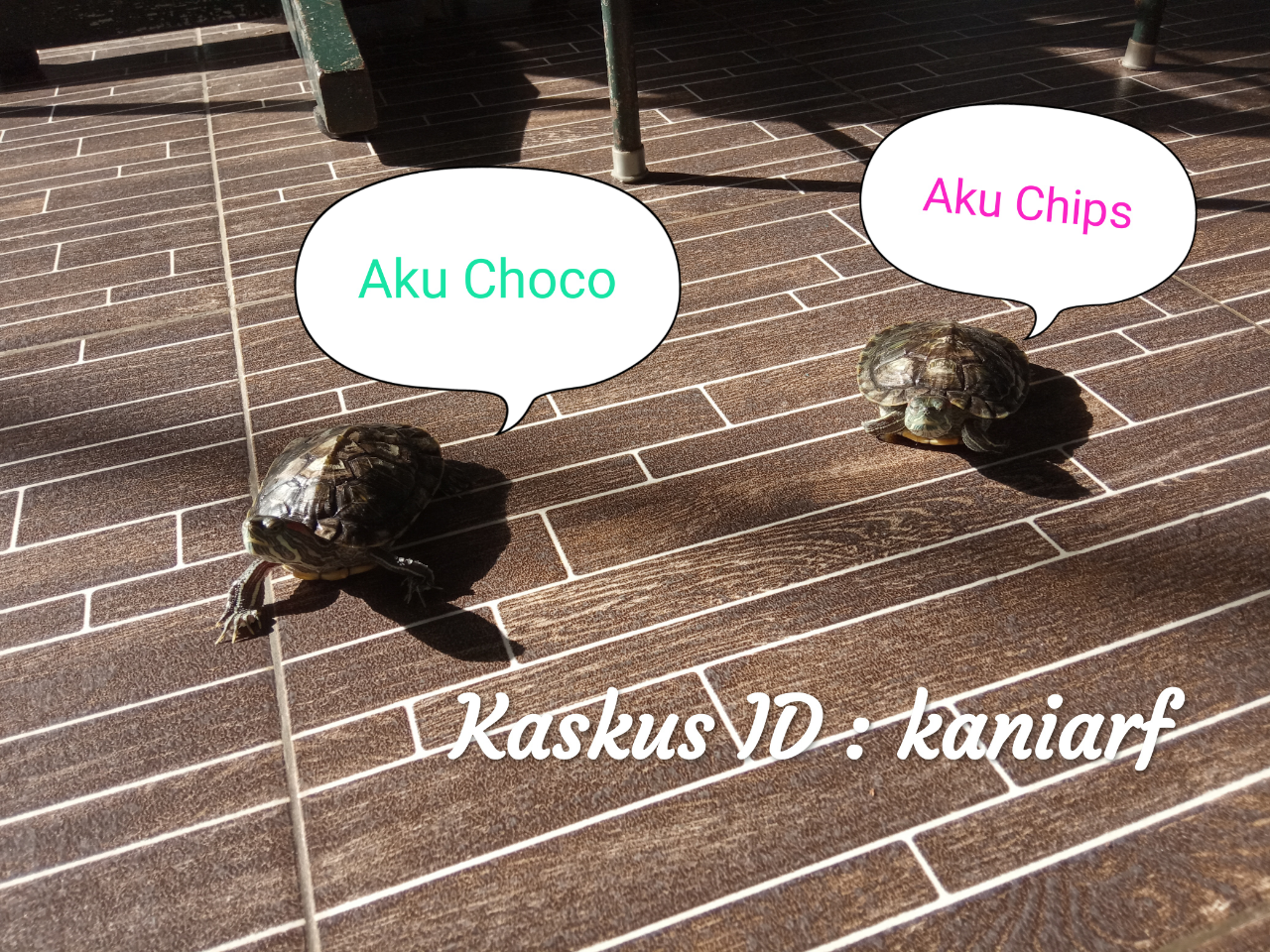 kaskus-image