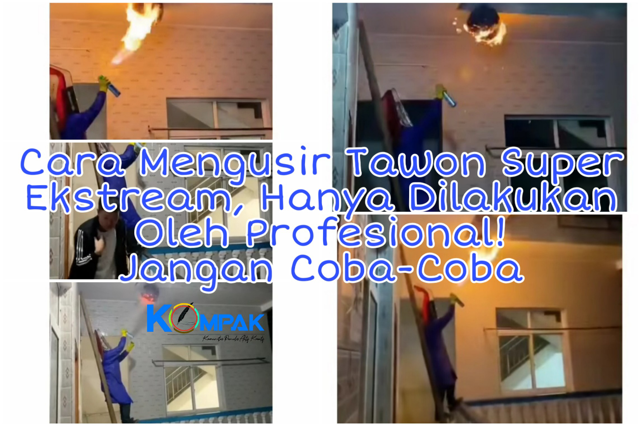 Cara Mengusir Tawon  Super Ekstream Hanya Dilakukan Oleh 