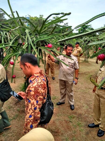Mau Bibit Pohon Gratis? Anda Bisa Dapatkan dari Kebun Milik DKI Ini Syaratnya