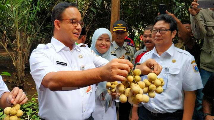 Mau Bibit Pohon Gratis? Anda Bisa Dapatkan dari Kebun Milik DKI Ini Syaratnya
