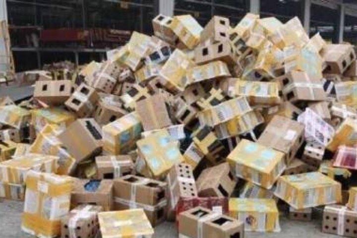 Ribuan Hewan Peliharaan di China Mati Massal
