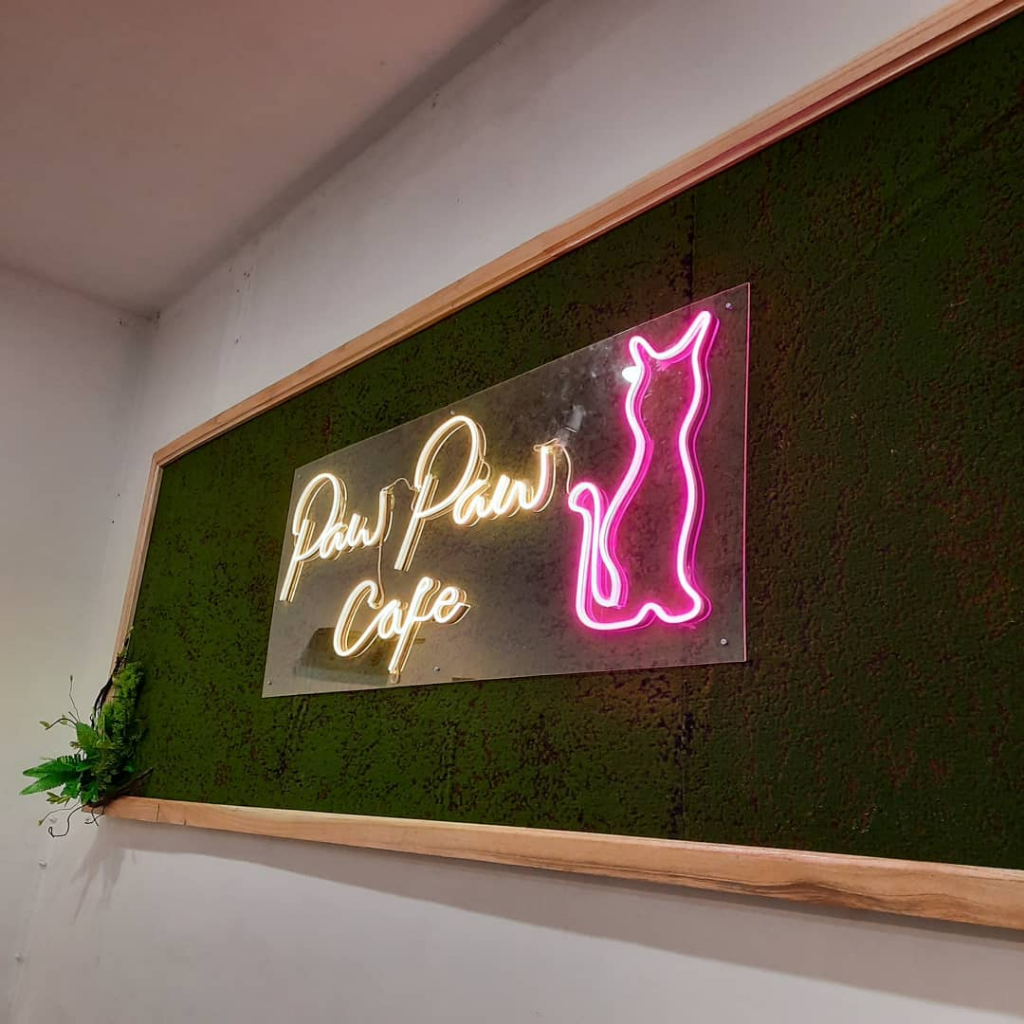 Makan Sekaligus Bermain Dengan Kucing? Bisa Banget, Ini Tempatnya!