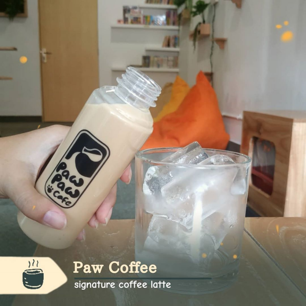 Makan Sekaligus Bermain Dengan Kucing? Bisa Banget, Ini Tempatnya!